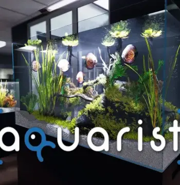 Aquarist NA PS5 CD Key