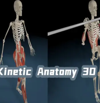 Kinetic Anatomy 3D PC Steam CD Key