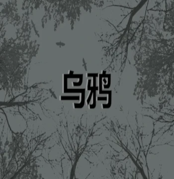 Crows - 乌鸦 PC Steam CD Key