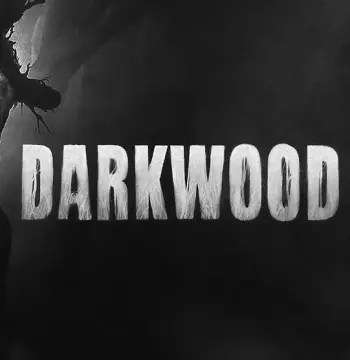 Darkwood PC Steam Account