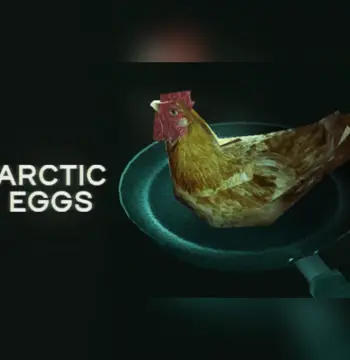 Arctic Eggs PC Steam Account