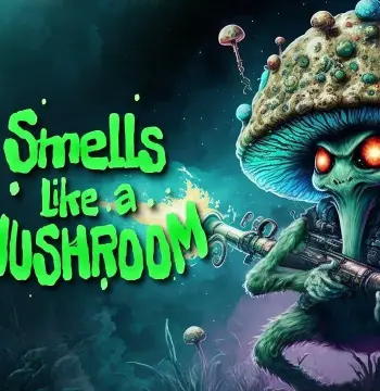 Smells Like a Mushroom EU PS5 CD Key