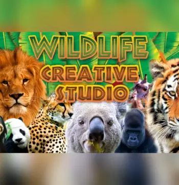 Wildlife Creative Studio PC Steam CD Key