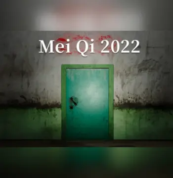 MeiQi 2022 PC Steam Account