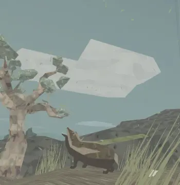 Shelter PC Steam Account