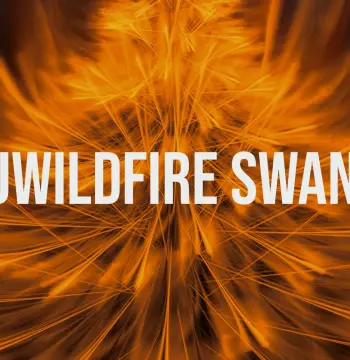 JWildfireSwan PC Steam CD Key