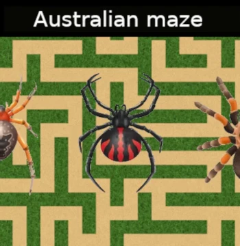 Australian maze PC Steam CD Key