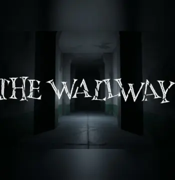 THE WALLWAY PC Steam Account