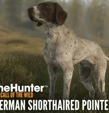 theHunter: Call of the Wild - German Shorthaired Pointer DLC PC Steam CD Key