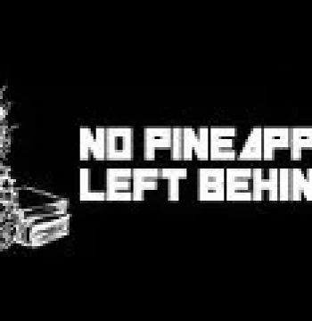 No Pineapple Left Behind Steam CD Key