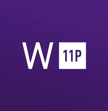 Windows 11 Professional ESD Key