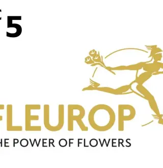Fleurop €5 Gift Card DE