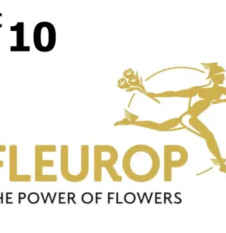 Fleurop €10 Gift Card DE