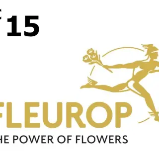 Fleurop €15 Gift Card DE