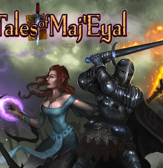 Tales of Maj'Eyal EU PC Steam CD Key