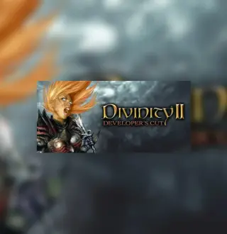 Divinity II: Developer's Cut Steam CD Key