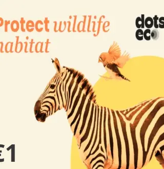 Dots.eco - Protect Wildlife Habitat EUR 1 Gift Card DE