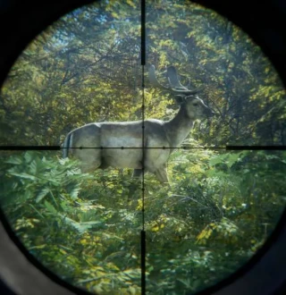 theHunter: Call of the Wild RoW Steam CD Key