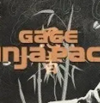 PAYDAY 2 - Gage Ninja Pack Steam CD Key