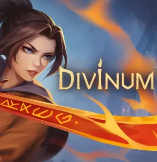 Divinum PC Steam CD Key