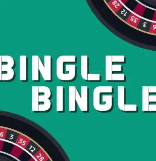 Bingle Bingle PC Steam CD Key