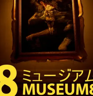 Museum 8 PC Steam CD Key