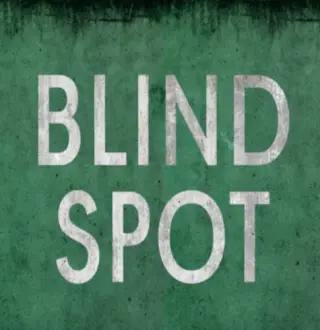 BLIND SPOT PC Steam CD Key