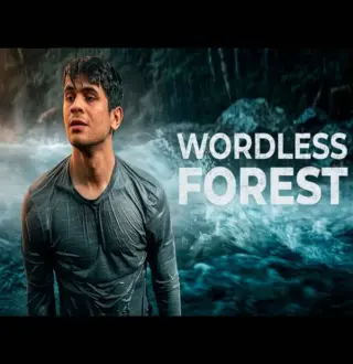 Wordless Forest PC Steam CD Key