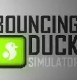 Bouncing Duck Simulator Steam CD Key