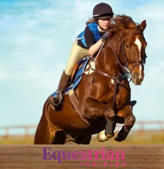 Equestrian Training EU Nintendo Switch CD Key