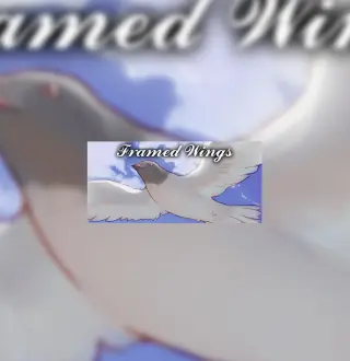 Framed Wings Steam CD Key