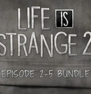 Life is Strange 2 - Episodes 2-5 bundle DLC Steam CD Key