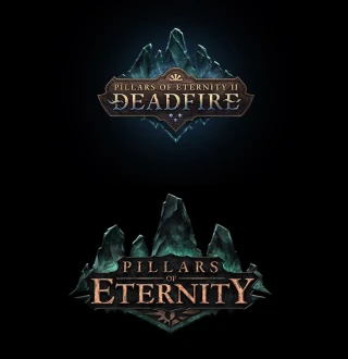 Pillars of Eternity Collection Bundle (Obsidian) PC Steam CD Key 