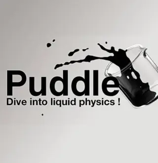 Puddle Steam CD Key