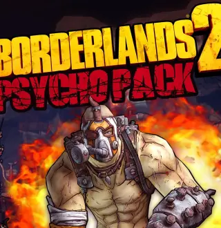 Borderlands 2 - Psycho Pack DLC PC Steam CD Key