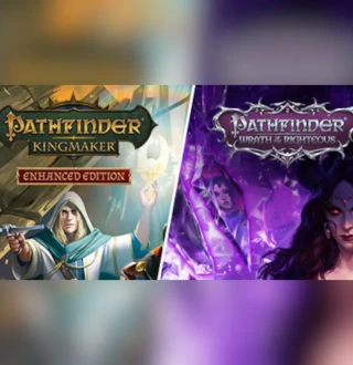 Pathfinder Collector’s Edition PC Steam CD Key