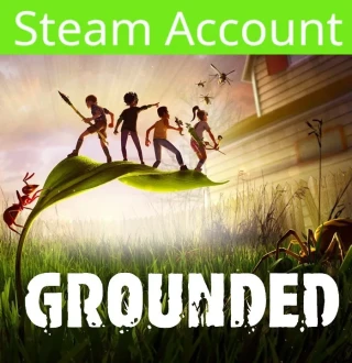 Grounded PC Steam Account