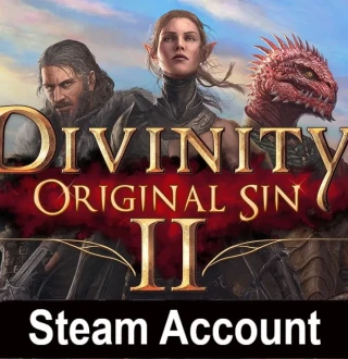 Divinity: Original Sin 2 Steam Account