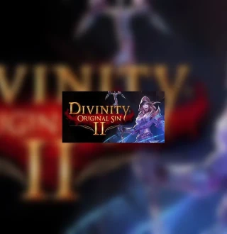 Divinity: Original Sin 2 Eternal Edition Steam Account