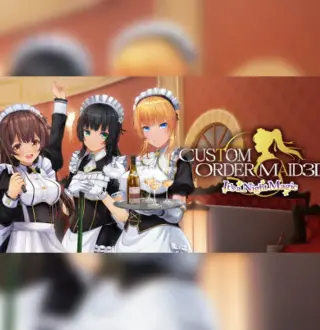 CUSTOM ORDER MAID 3D2 It's a Night Magic EU v2 Steam Altergift