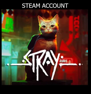 Stray PS4 Account