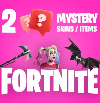 2 Mystery Fortnite Skins / Items PC Epic Games CD Key