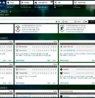 Out of the Park Baseball 15 EU Steam CD Key