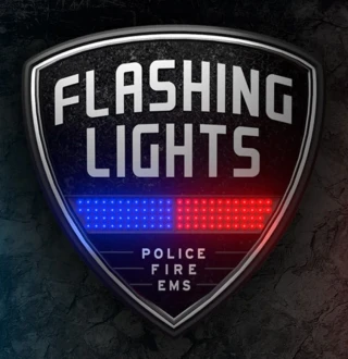Flashing Lights - Police Fire EMS Steam CD Key