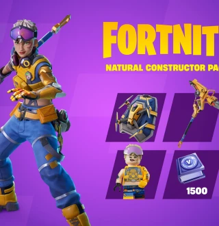 Fortnite - Natural Constructor Pack DLC US XBOX One / Xbox Series X|S CD Key