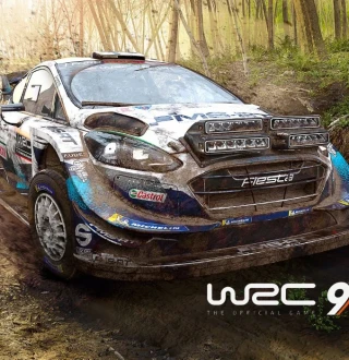 WRC 9 FIA World Rally Championship EU PC Steam CD Key