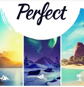 Perfect EU PC Steam CD Key