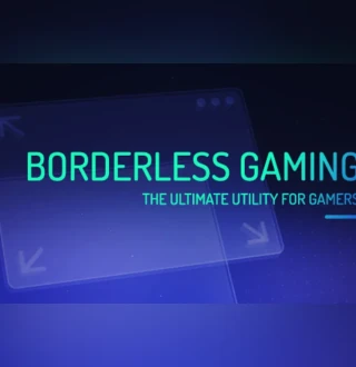 Borderless Gaming PC Steam Account