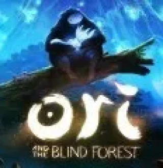 Ori and the Blind Forest Steam CD Key
