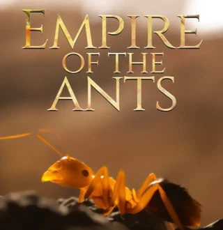 Empire of the Ants PC Steam Altergift